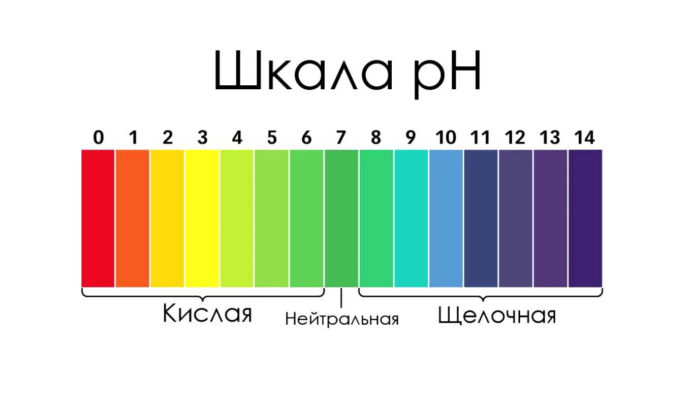 Шкала кислотности