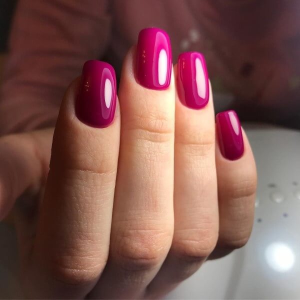 Гель-лак Holy Rose (Холи Роуз) Beauty № 105, 10 мл.