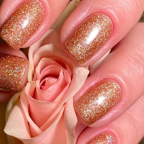Гель-лак Holy Rose (Холи Роуз) Beauty № 242, 10 мл.