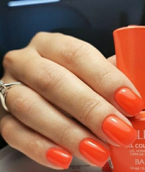 Гель-лак Holy Rose (Холи Роуз) Beauty № 055, 10 мл.