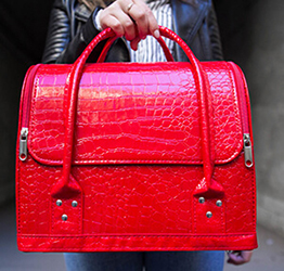 Сумка мастера маникюра