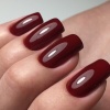 Гель-лак Holy Rose (Холи Роуз) Beauty № 113, 10 мл.