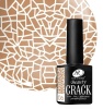 Гель-лак Holy Rose (Холи Роуз) кракелюрный Beauty Crack № 06,10 мл