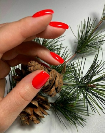 Гель-лак Holy Rose (Холи Роуз) One Step № 015, 10 мл.