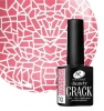 Гель-лак Holy Rose (Холи Роуз) кракелюрный Beauty Crack № 10,10 мл