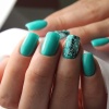 Гель-лак Holy Rose (Холи Роуз) Beauty № 201, 10 мл.